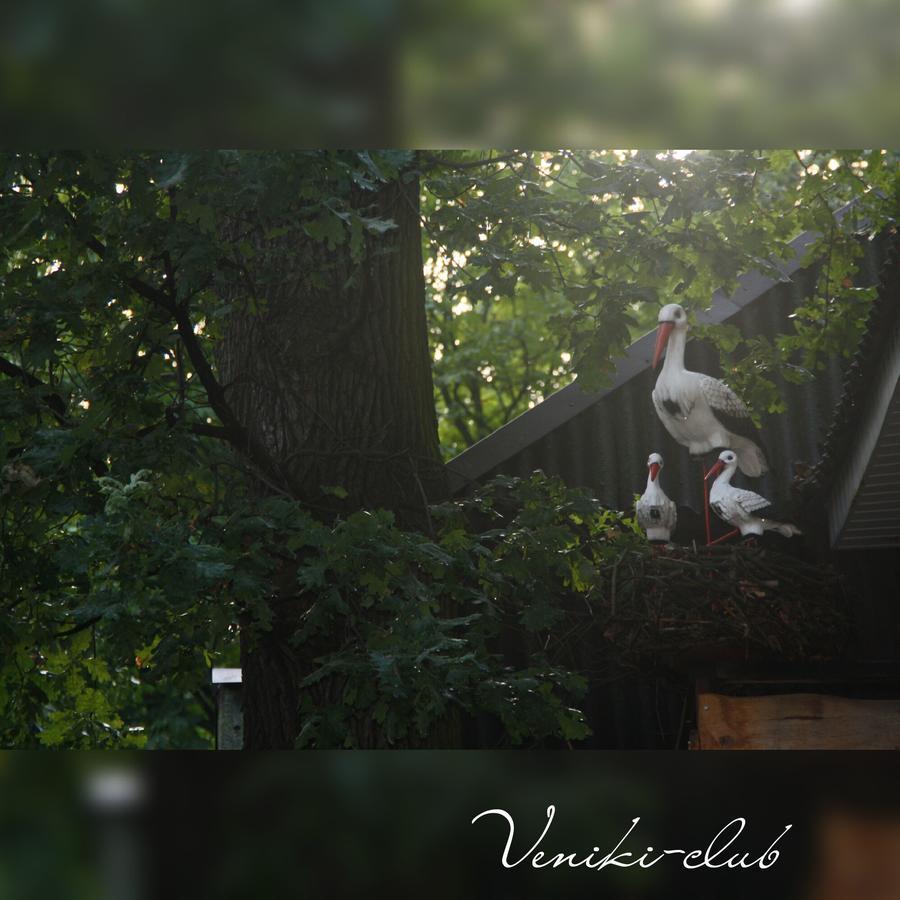 Veniki-Club 호텔 Vorzelʼ 외부 사진